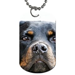 Rotwieller Dog Tag (Two Sides) from ArtsNow.com Front