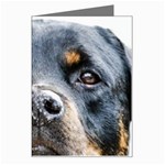 Rotwieller Greeting Card