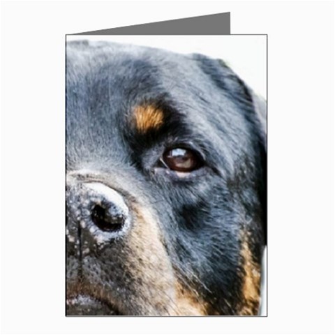 Rotwieller Greeting Cards (Pkg of 8) from ArtsNow.com Left