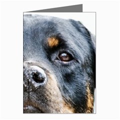 Rotwieller Greeting Cards (Pkg of 8) from ArtsNow.com Left