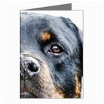 Rotwieller Greeting Cards (Pkg of 8)