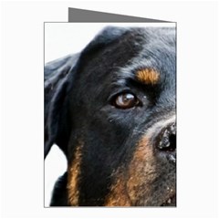 Rotwieller Greeting Cards (Pkg of 8) from ArtsNow.com Right