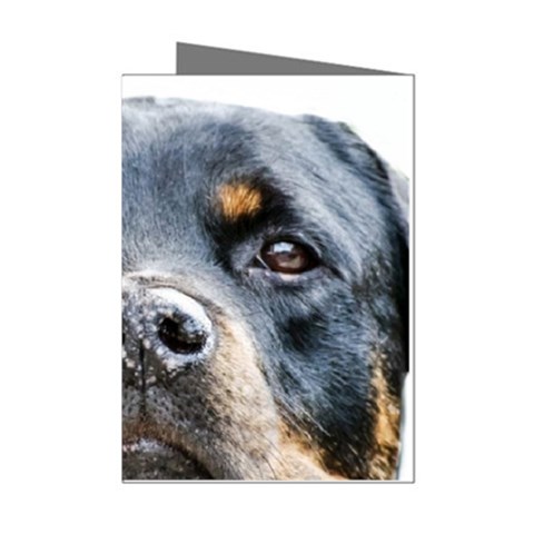 Rotwieller Mini Greeting Cards (Pkg of 8) from ArtsNow.com Left