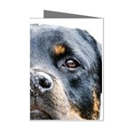 Rotwieller Mini Greeting Cards (Pkg of 8)