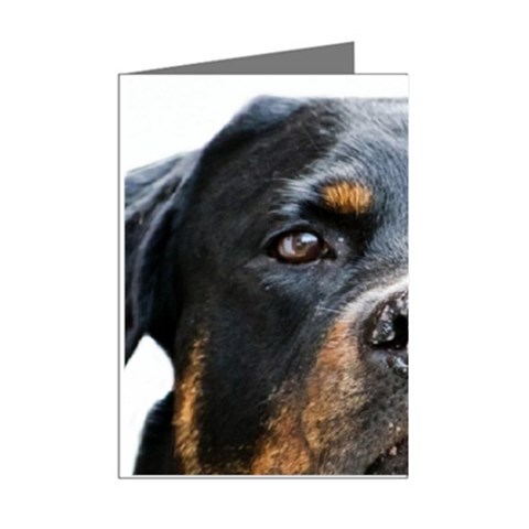Rotwieller Mini Greeting Cards (Pkg of 8) from ArtsNow.com Right
