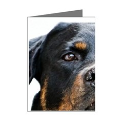 Rotwieller Mini Greeting Cards (Pkg of 8) from ArtsNow.com Right
