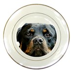 Rotwieller Porcelain Plate
