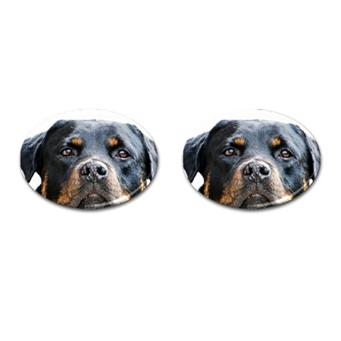 Rotwieller Cufflinks (Oval) from ArtsNow.com Front(Pair)