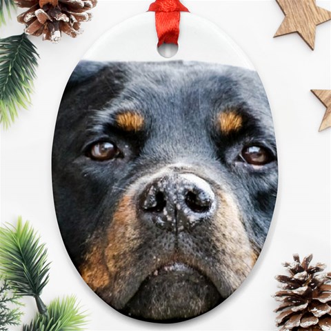 Rotwieller Oval Ornament (Two Sides) from ArtsNow.com Back