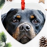 Rotwieller Heart Ornament (Two Sides)