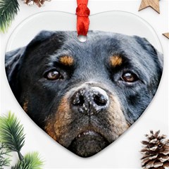Rotwieller Heart Ornament (Two Sides) from ArtsNow.com Back