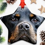 Rotwieller Star Ornament (Two Sides)