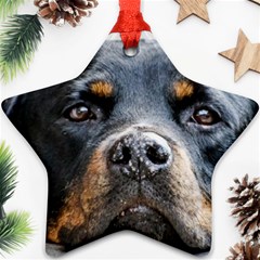 Rotwieller Star Ornament (Two Sides) from ArtsNow.com Back