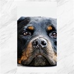 Rotwieller Canvas 40  x 72 