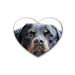 Rotwieller Rubber Heart Coaster (4 pack)