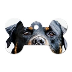 Rotwieller Dog Tag Bone (Two Sides) from ArtsNow.com Back
