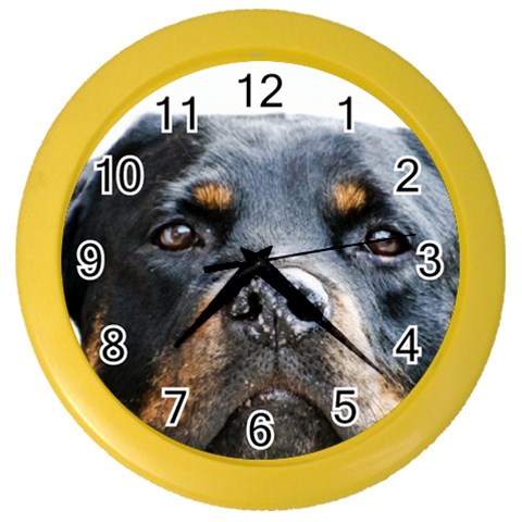 Rotwieller Color Wall Clock from ArtsNow.com Front