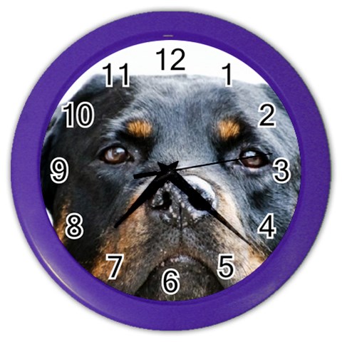 Rotwieller Color Wall Clock from ArtsNow.com Front