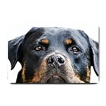 Rotwieller Small Doormat
