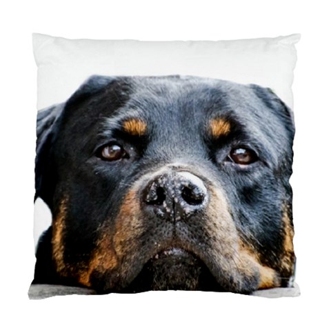 Rotwieller Standard Cushion Case (One Side) from ArtsNow.com Front
