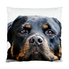 Rotwieller Standard Cushion Case (Two Sides) from ArtsNow.com Front