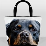 Rotwieller Bucket Bag