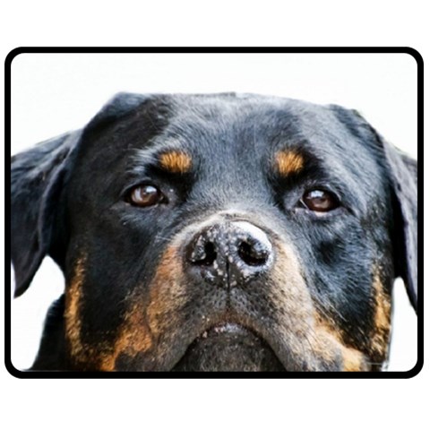 Rotwieller Fleece Blanket (Medium) from ArtsNow.com 60 x50  Blanket Front