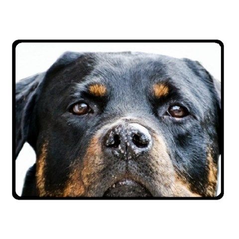 Rotwieller Fleece Blanket (Small) from ArtsNow.com 50 x40  Blanket Front