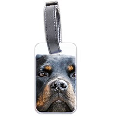 Rotwieller Luggage Tag (two sides) from ArtsNow.com Front