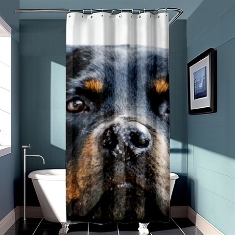 Rotwieller Shower Curtain 36  x 72  (Stall) from ArtsNow.com Curtain(36 X72 ) - 33.26 x66.24  Curtain(36 X72 )