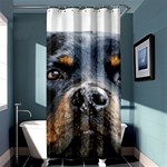 Rotwieller Shower Curtain 36  x 72  (Stall)
