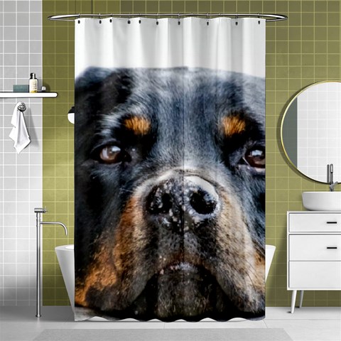 Rotwieller Shower Curtain 48  x 72  (Small) from ArtsNow.com Curtain(48  X 72 ) - 42.18 x64.8  Curtain(48  X 72 )