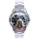 Rotwieller Stainless Steel Analogue Watch
