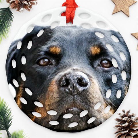 Rotwieller Ornament (Round Filigree) from ArtsNow.com Front