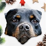 Rotwieller Ornament (Snowflake)