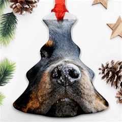 Rotwieller Christmas Tree Ornament (Two Sides) from ArtsNow.com Back