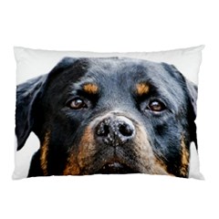 Rotwieller Pillow Case (Two Sides) from ArtsNow.com Back