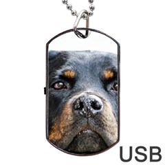 Rotwieller Dog Tag USB Flash (Two Sides) from ArtsNow.com Back