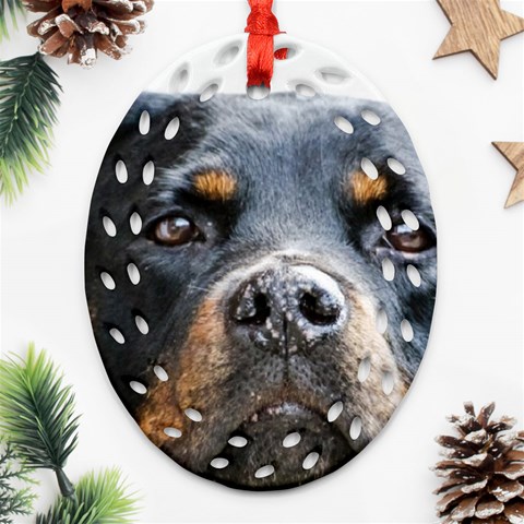 Rotwieller Ornament (Oval Filigree) from ArtsNow.com Front