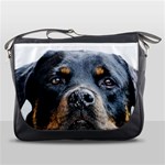 Rotwieller Messenger Bag