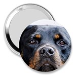 Rotwieller 3  Handbag Mirror