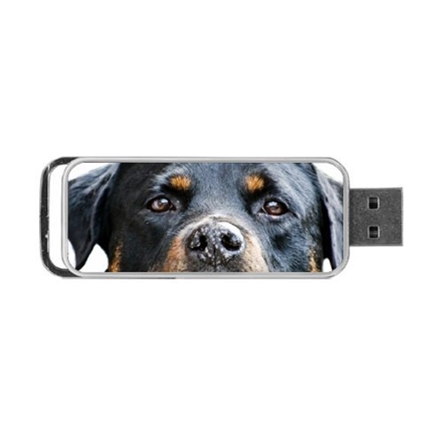 Rotwieller Portable USB Flash (One Side) from ArtsNow.com Front