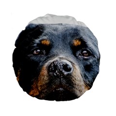 Rotwieller Standard 15  Premium Round Cushion  from ArtsNow.com Front