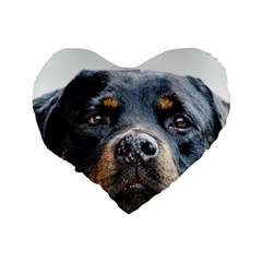 Rotwieller Standard 16  Premium Heart Shape Cushion  from ArtsNow.com Back