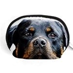 Rotwieller Accessory Pouch (Medium)