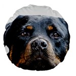Rotwieller Large 18  Premium Flano Round Cushion 
