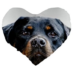 Rotwieller Large 19  Premium Flano Heart Shape Cushion from ArtsNow.com Back