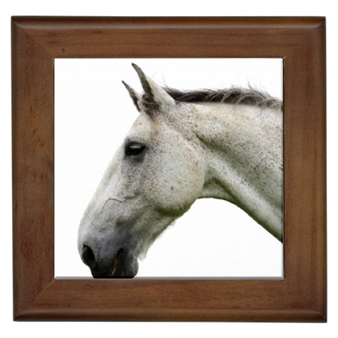 White Horse Framed Tile from ArtsNow.com Front