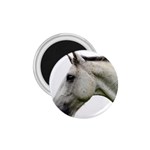 White Horse 1.75  Magnet