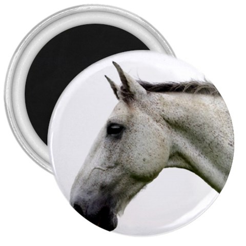 White Horse 3  Magnet from ArtsNow.com Front